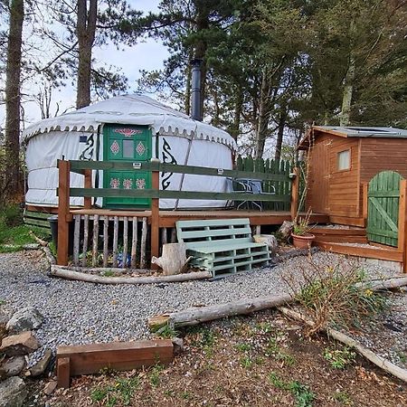 The Tall Pines Yurt Helmsdale Zewnętrze zdjęcie