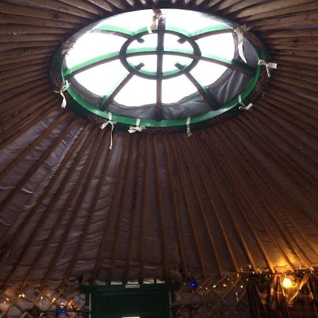 The Tall Pines Yurt Helmsdale Zewnętrze zdjęcie