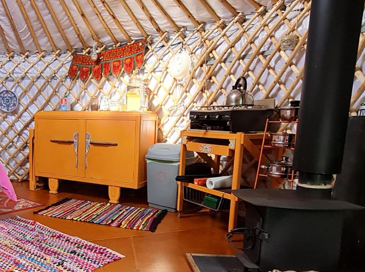 The Tall Pines Yurt Helmsdale Zewnętrze zdjęcie