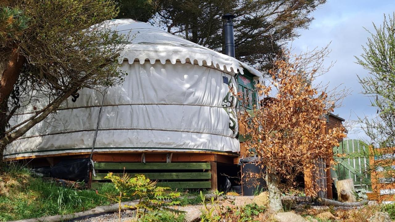 The Tall Pines Yurt Helmsdale Zewnętrze zdjęcie
