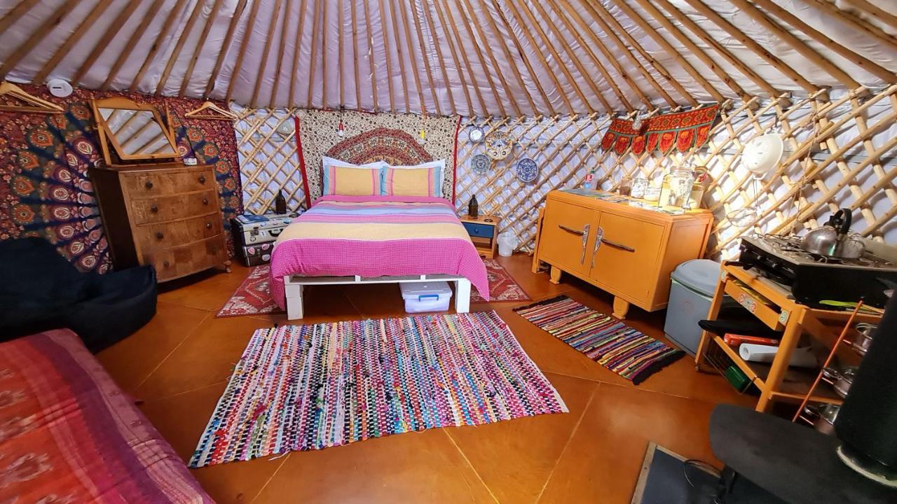 The Tall Pines Yurt Helmsdale Zewnętrze zdjęcie