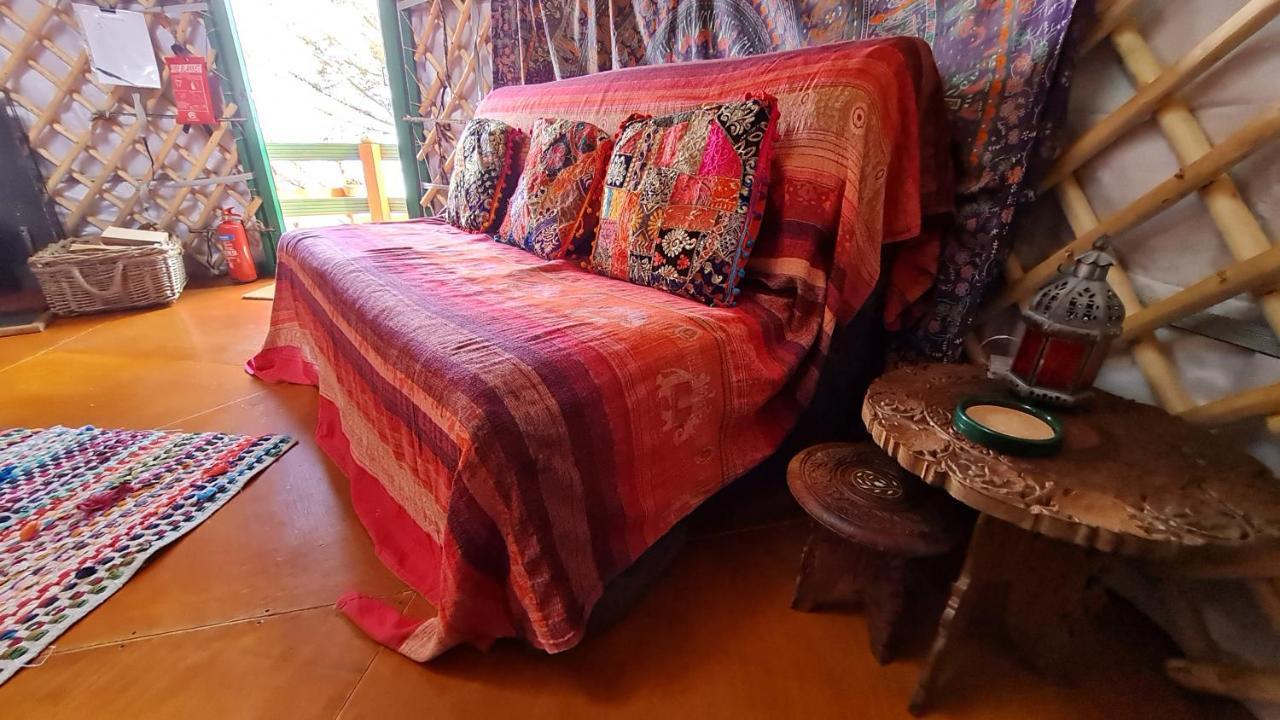 The Tall Pines Yurt Helmsdale Zewnętrze zdjęcie