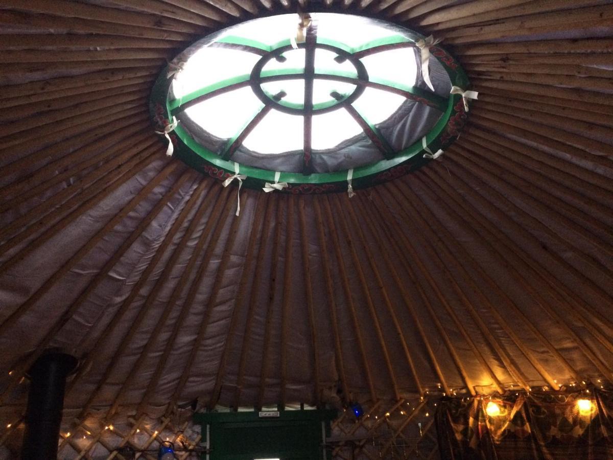 The Tall Pines Yurt Helmsdale Zewnętrze zdjęcie