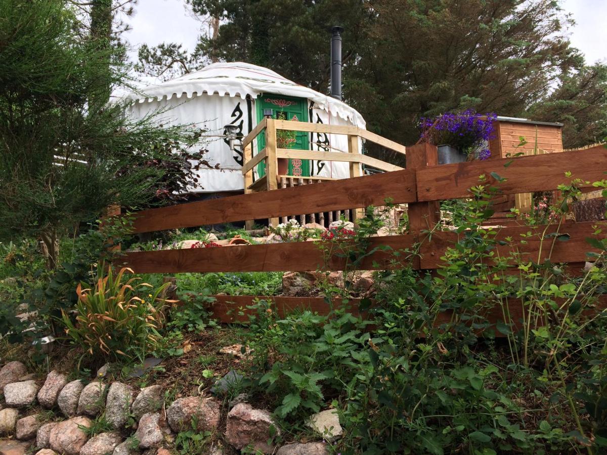 The Tall Pines Yurt Helmsdale Zewnętrze zdjęcie